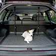 Hundegitter til stationcar