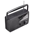 Caliber transportabel FM Radio